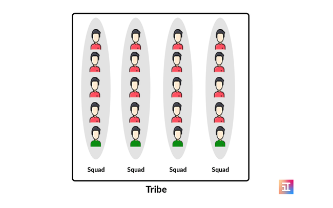 Various squads compose a Tribe